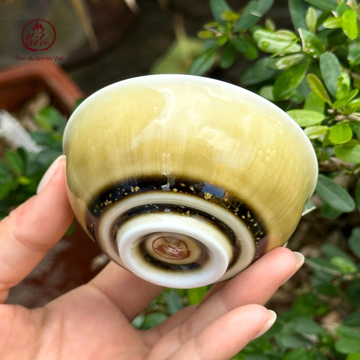 Social An Thổ Túc (14)